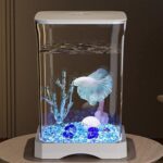 ACQUARIO BOCCIA BETTA Vetro c/LED Lt 1.8