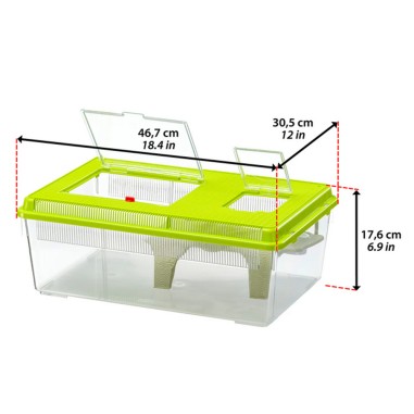 ACQUARIO GEO FLAT Large