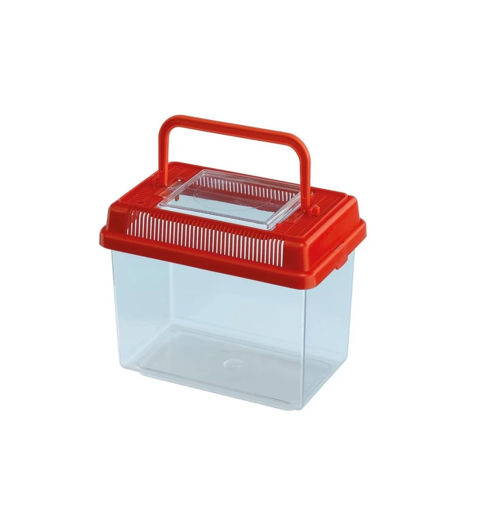 ACQUARIO GEO Small ACQUARIO GEO Small