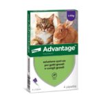 ADVANTAGE Spot On 80 Gatto/Coniglio