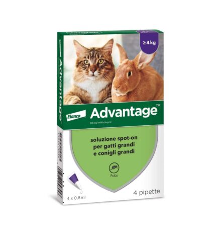 ADVANTAGE Spot On 80 Gatto/Coniglio