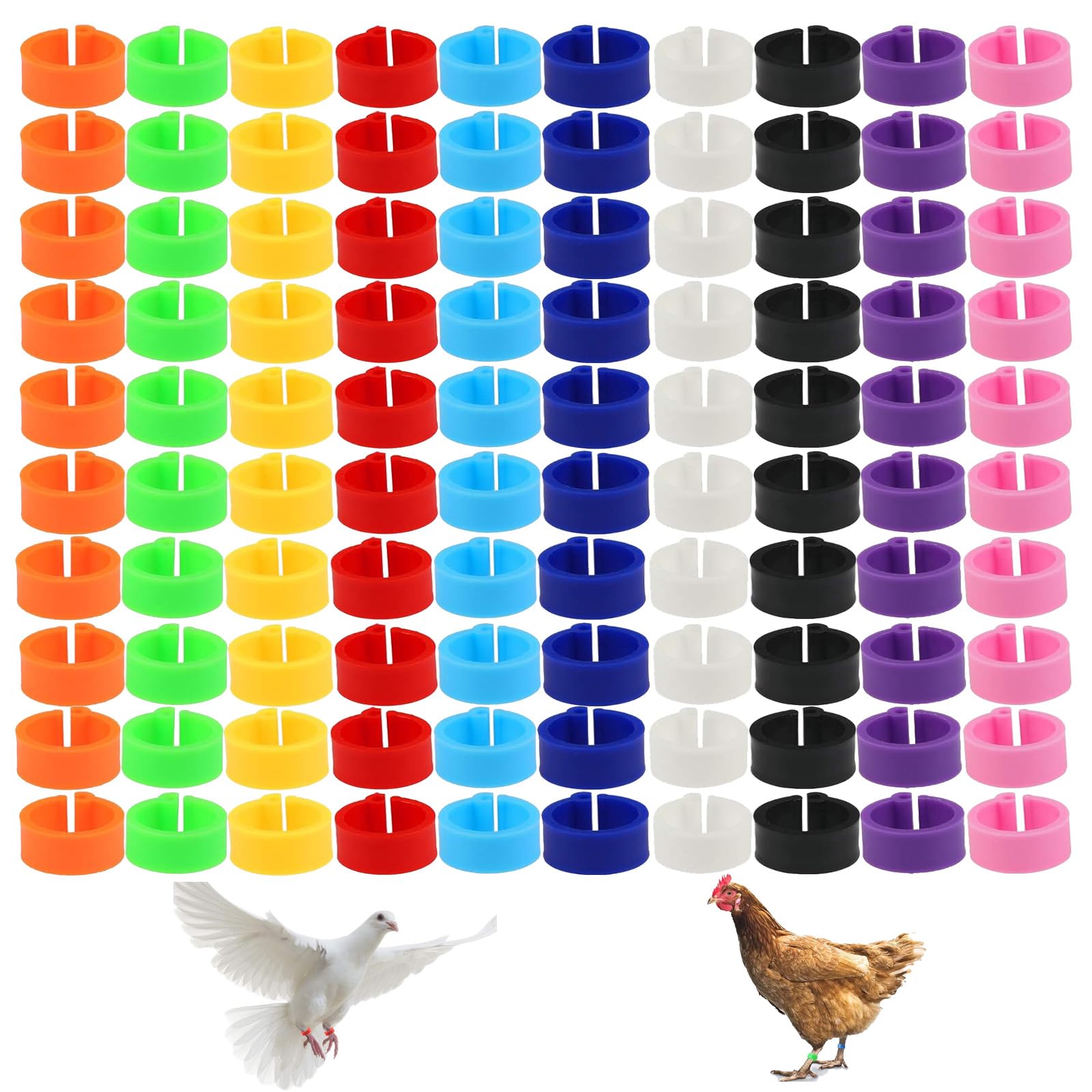 ANELLO PICCIONE PVC mm 10/16 Colori Vari ANELLO PICCIONE PVC mm 10/16 Colori Vari