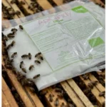 APICANDY BIO kg 1