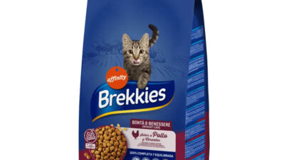 BREKKIES BONTA' E BENESSERE kg 20