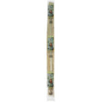 CANNA BAMBOO H. 120 D.10/12 PZ. 4