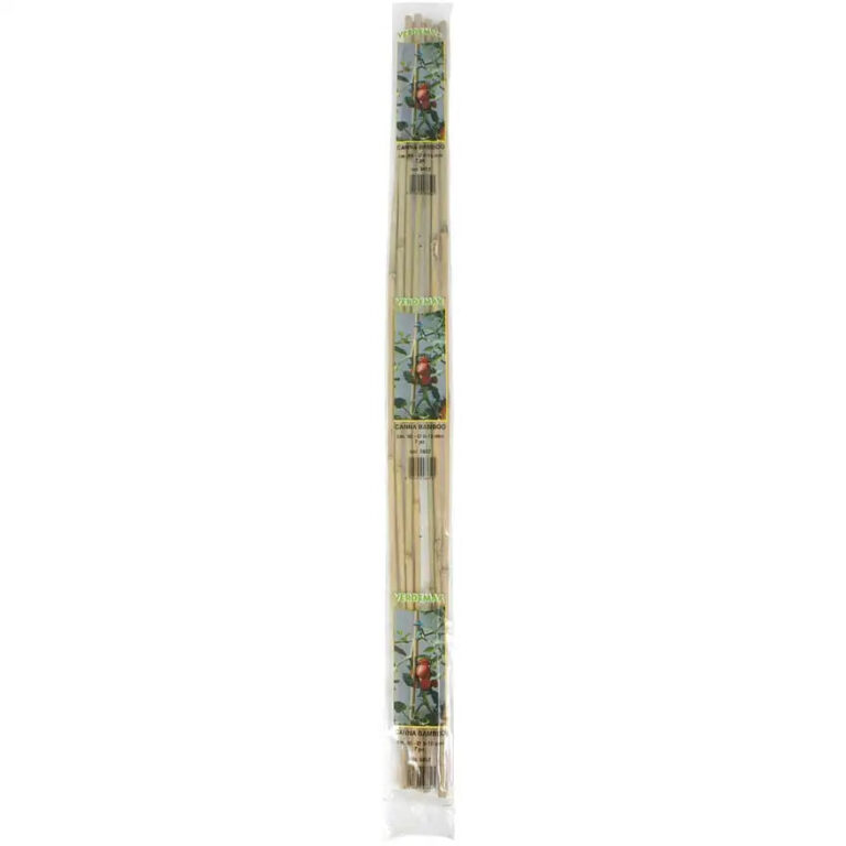 CANNA BAMBOO H. 120 D.10/12 PZ. 4