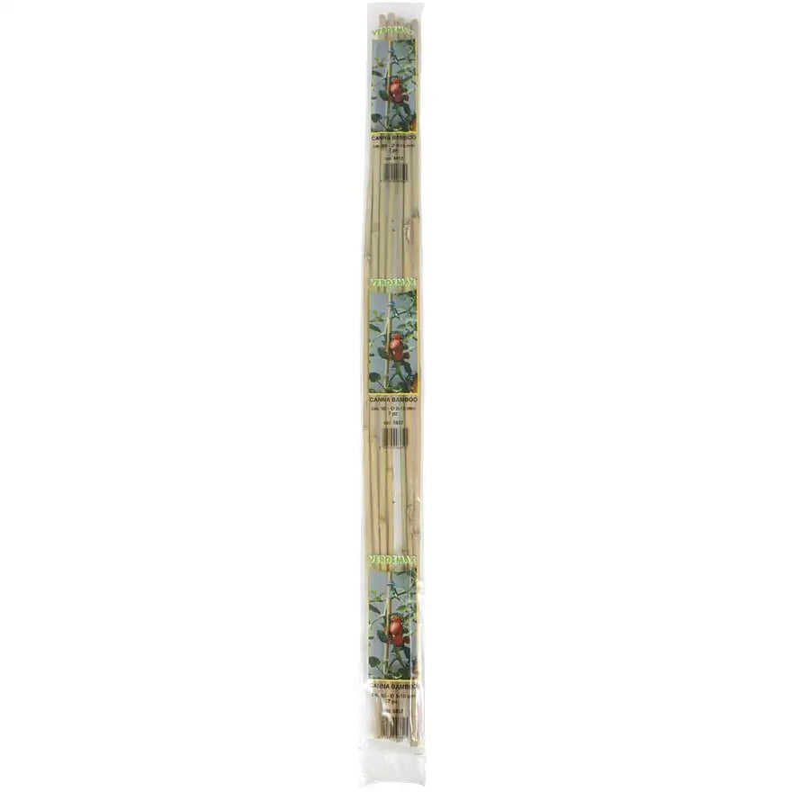 CANNA BAMBOO H. 120 D.10/12 PZ. 4 CANNA BAMBOO H. 120 D.10/12 PZ. 4