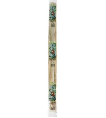 CANNA BAMBOO H. 150 D. 12/14 PZ. 3