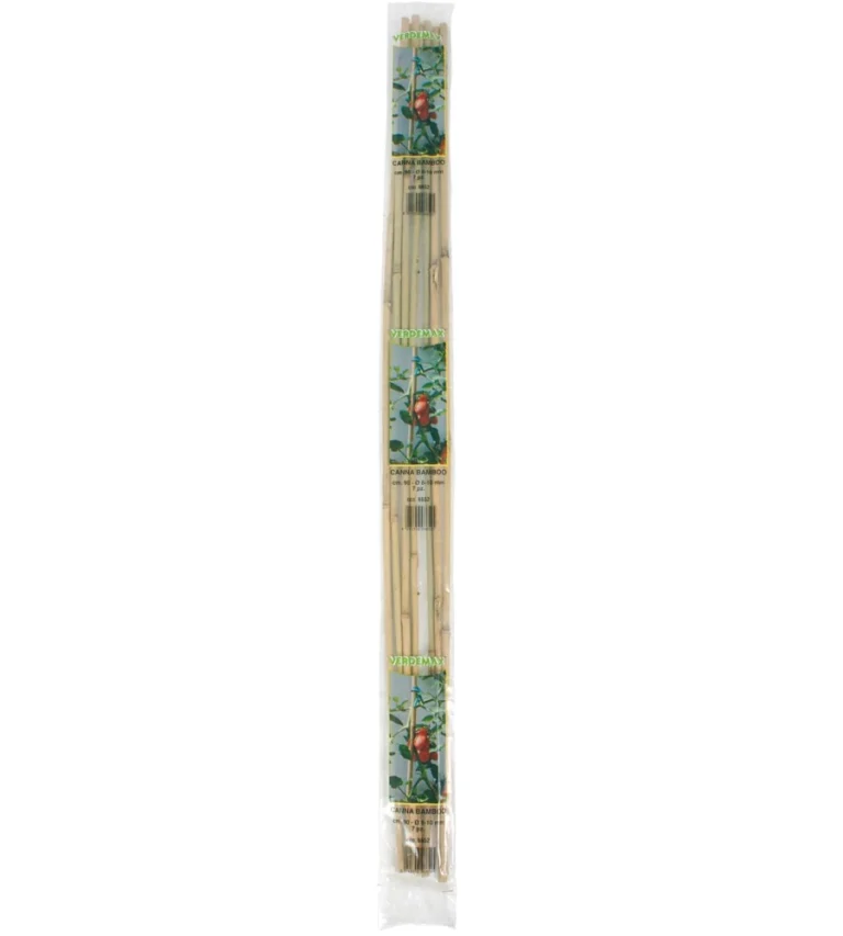 CANNA BAMBOO H. 150 D. 12/14 PZ. 3