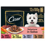 CESAR SELEZ. IN SALSA gr 100x12