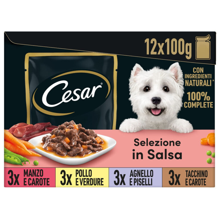 CESAR SELEZ. IN SALSA gr 100x12