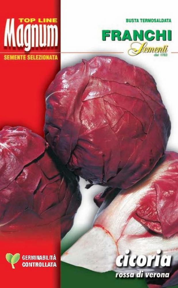 CICORIA ROSSA VERONA Magnum gr 50