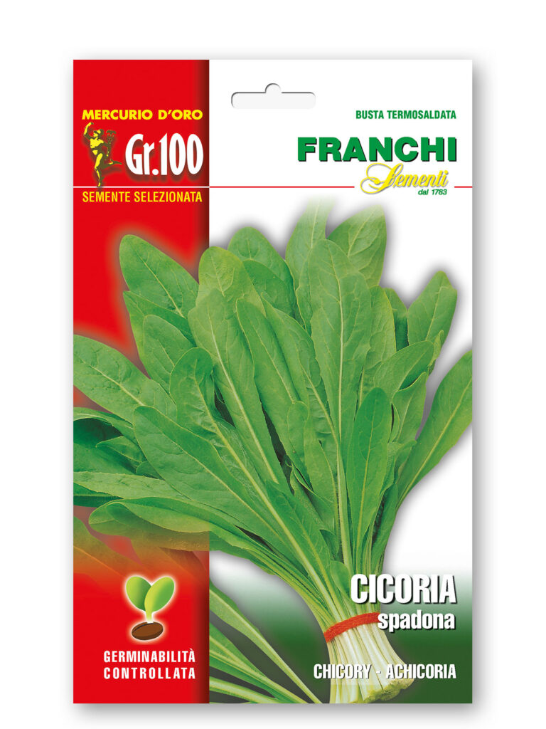 CICORIA SPADONA gr 100 Franchi