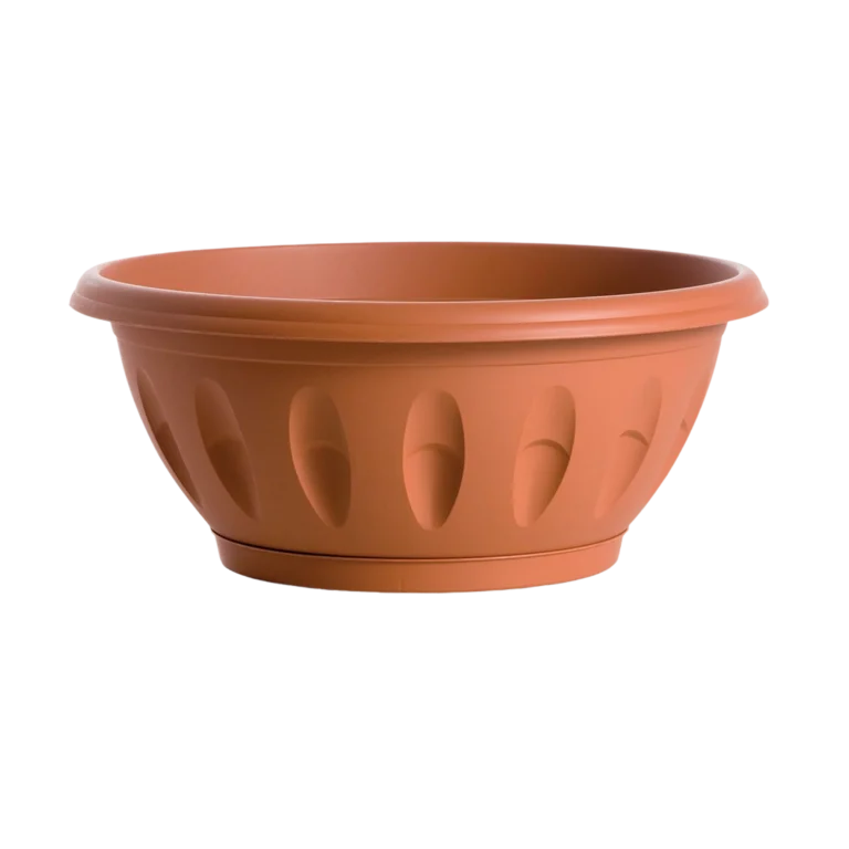 CIOTOLA ELBA cm 20+SOTTOVASO SIENA cm 15