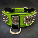COLLARE CLUB CF 15/350 Verde
