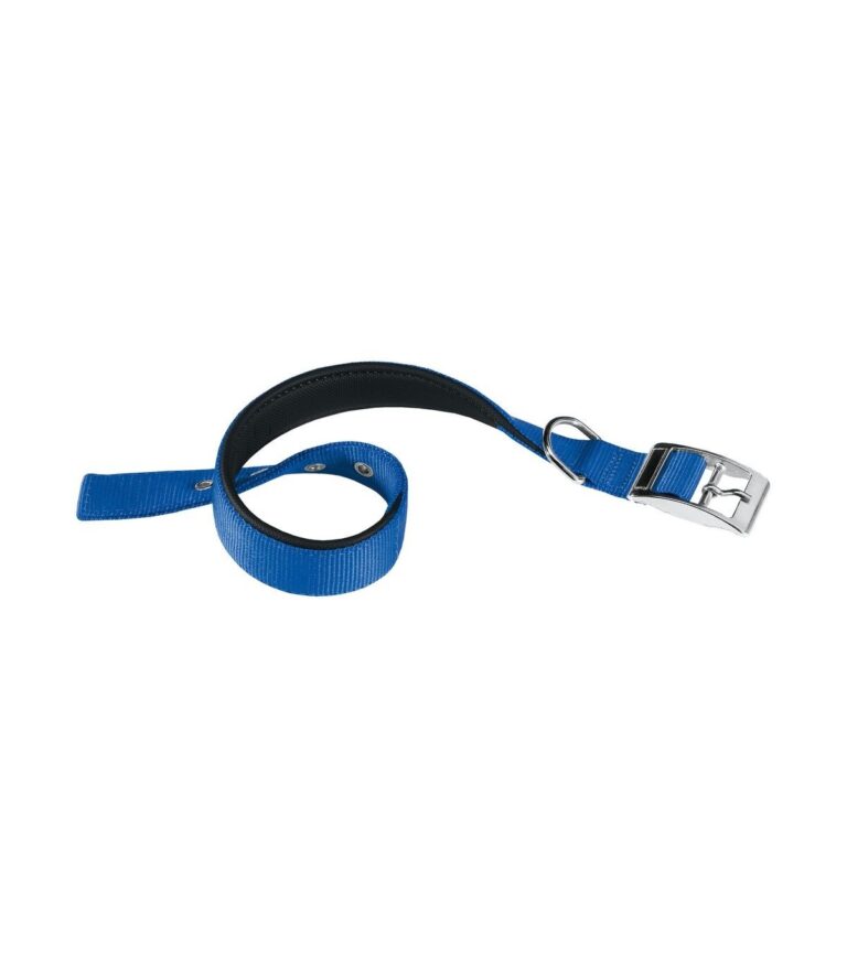 COLLARE DAYTONA 25/45 Blu Animali