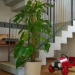 COPRIVASO FYRE GREENER cm 40 c/Ruote