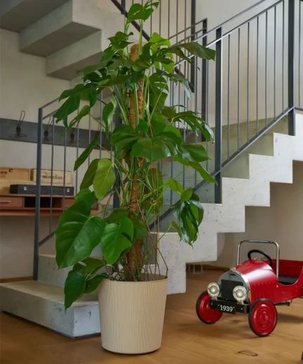 COPRIVASO FYRE GREENER cm 40 c/Ruote
