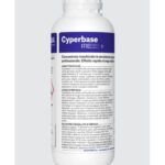 CYPERBASE Lt 1