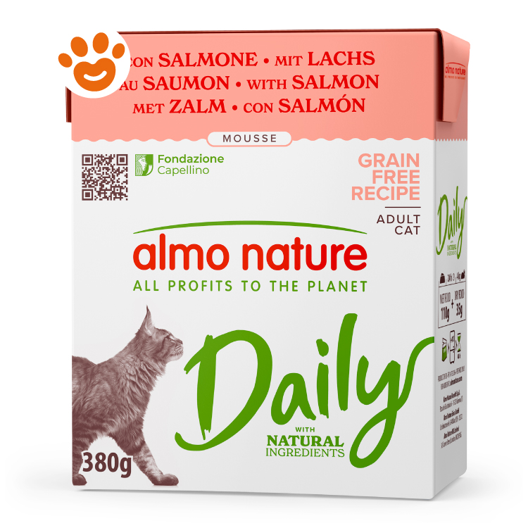 DAILY CAT gr 380 Salmone