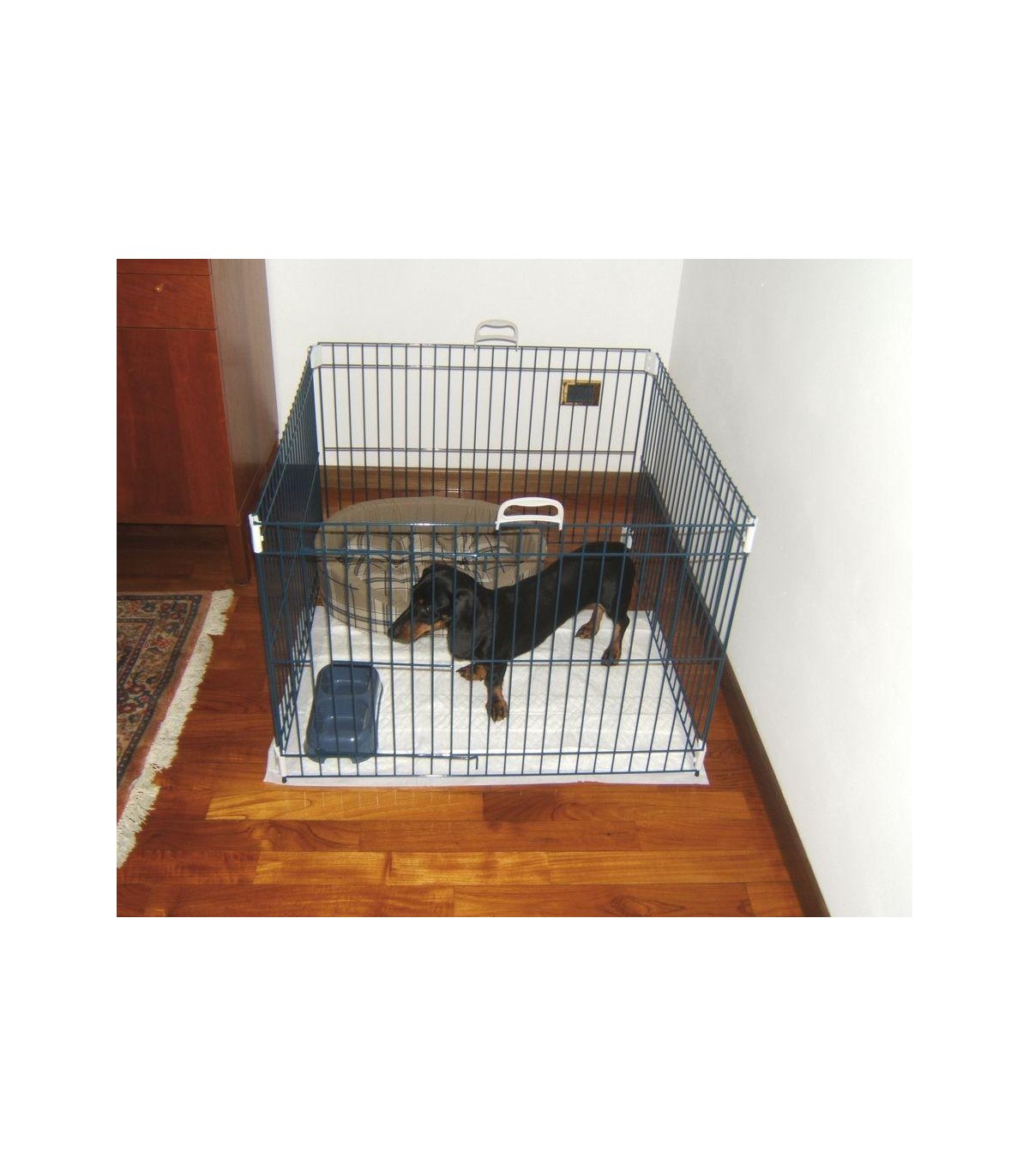 DOG TRAINING RECINTO Nero DOG TRAINING RECINTO Nero