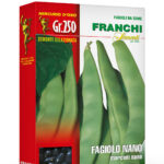 FAGIOLO NANO MARCONI gr 250 Franchi