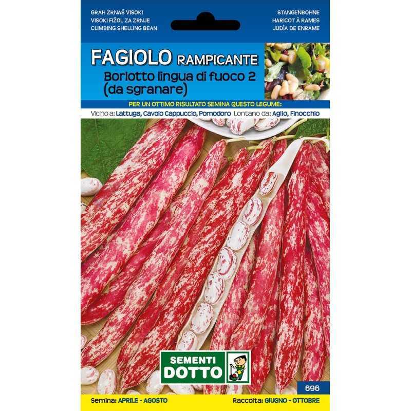 FAGIOLO Ramp. LINGUA DI FUOCO gr 250 FAGIOLO Ramp. LINGUA DI FUOCO gr 250