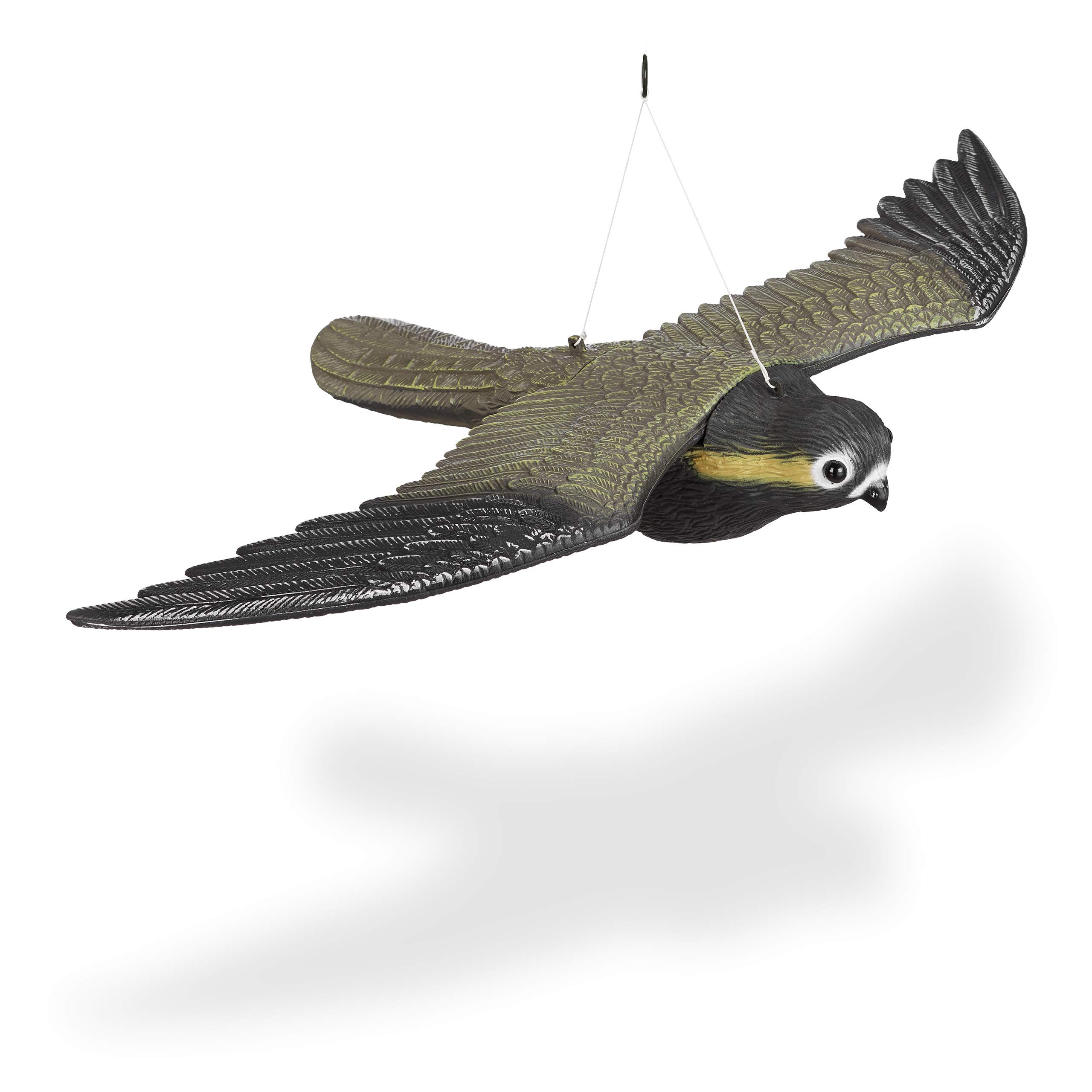 FALCO SPAVENTAPASSERI FALCO SPAVENTAPASSERI