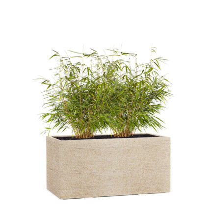 FIORIERA LIVING +S. cm 30 Sabbia
