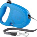 FLIPPY ONE TAPE SMALL Blu