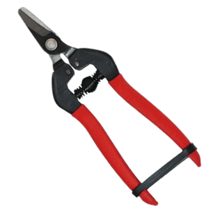 FORBICE INOX cm 19 Falci