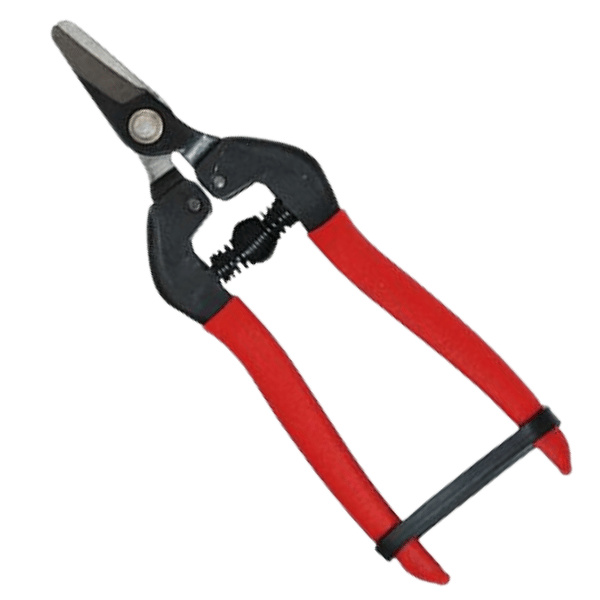 FORBICE INOX cm 19 Falci