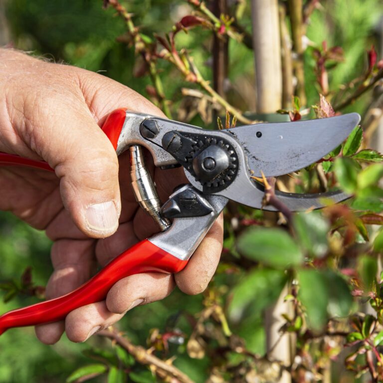 FORBICE VIGNA FELCO 9 Ergonomica