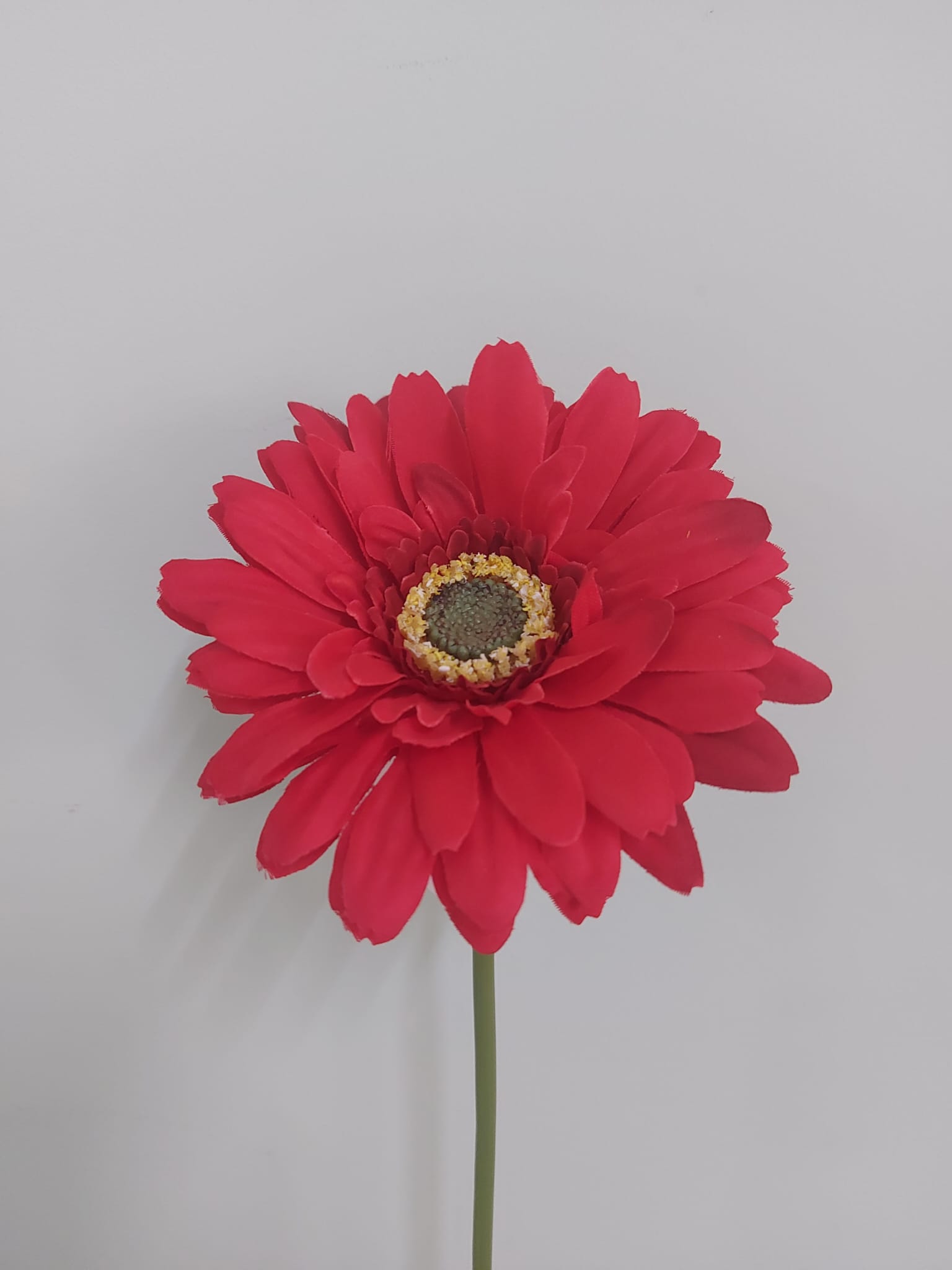 GERBERA x2 Art.8493X GERBERA x2 Art.8493X