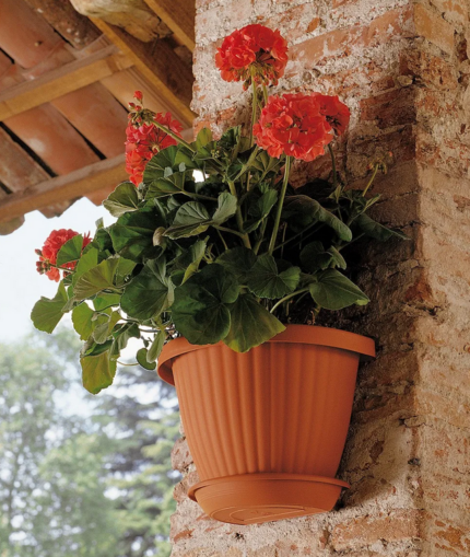 GERLA DOMUS c/SOTTOVASO cm 30