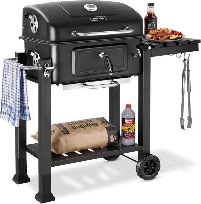 GRATELLA CARNE RIC. BARBECUE CARBONE