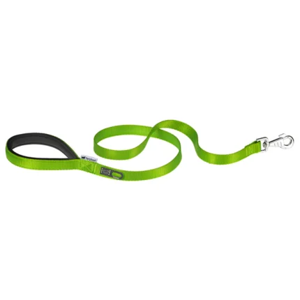 GUINZAGLIO DAYTONA 25/120 Verde