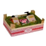 HOME GARDEN KIT Camelia