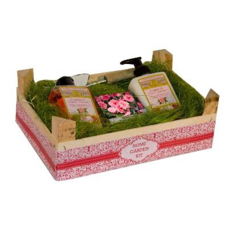HOME GARDEN KIT Camelia