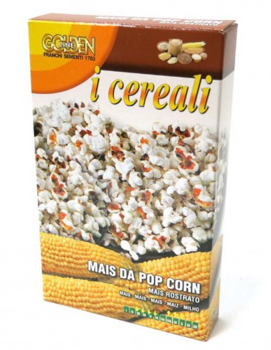 MAIS POP CORN gr 100 Franchi