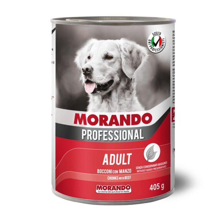 MORANDO PROF. CANE TRAD ITA gr 405
