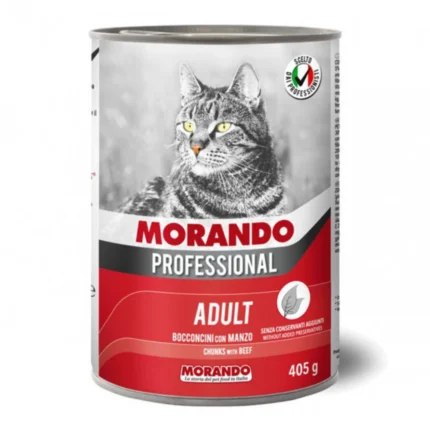 MORANDO PROF. GATTO Boc. gr 405