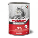 MORANDO PROF. GATTO Boc. gr 405