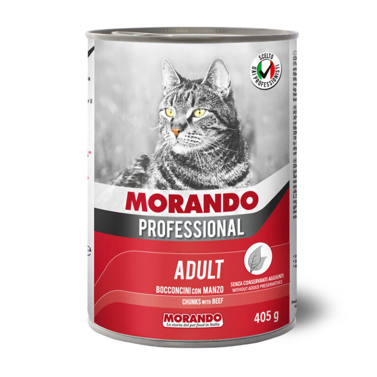 MORANDO PROF.GATTO TRAD ITA gr 405 Manzo