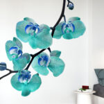 ORCHIDEA CRISTINA Art.8170X