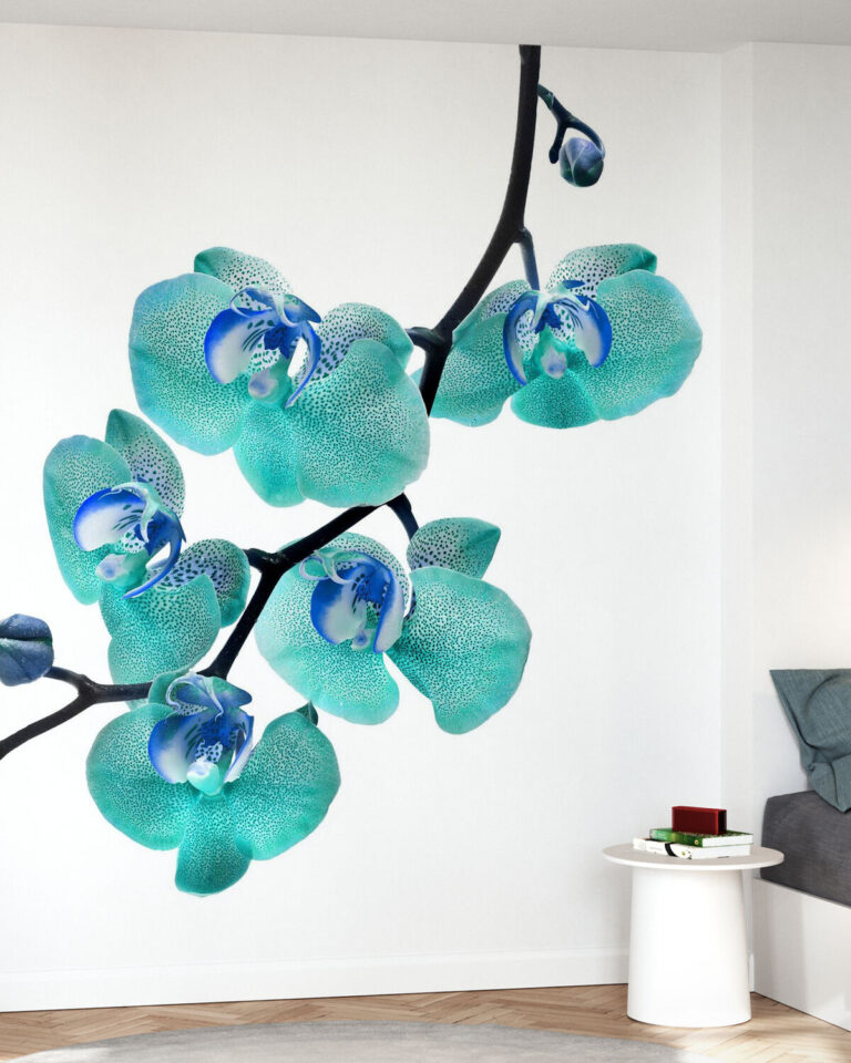 ORCHIDEA CRISTINA Art.8170X