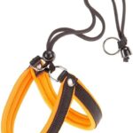 PETTORINA AGILA FLUO 1 Arancio