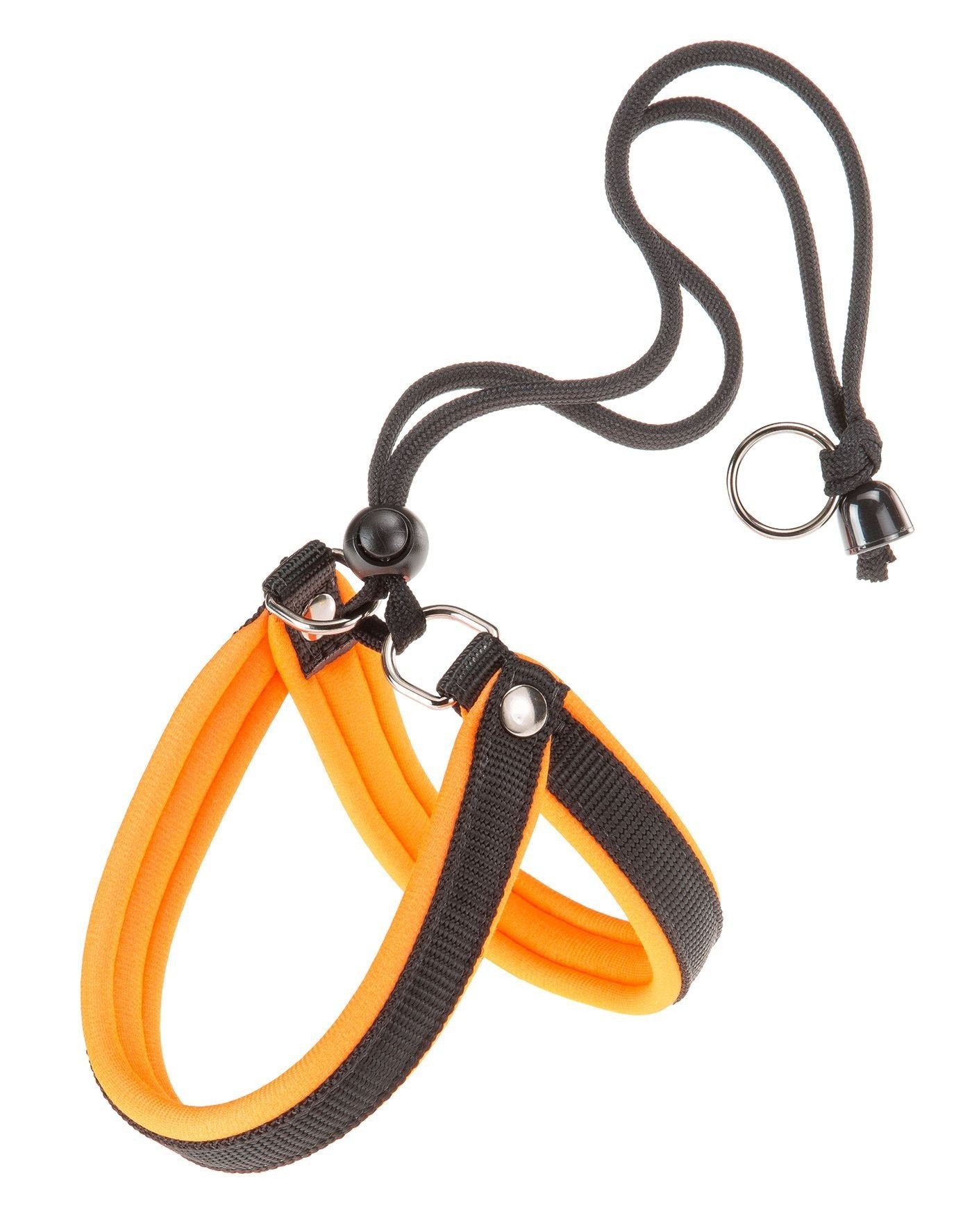 PETTORINA AGILA FLUO 2 Arancio PETTORINA AGILA FLUO 2 Arancio
