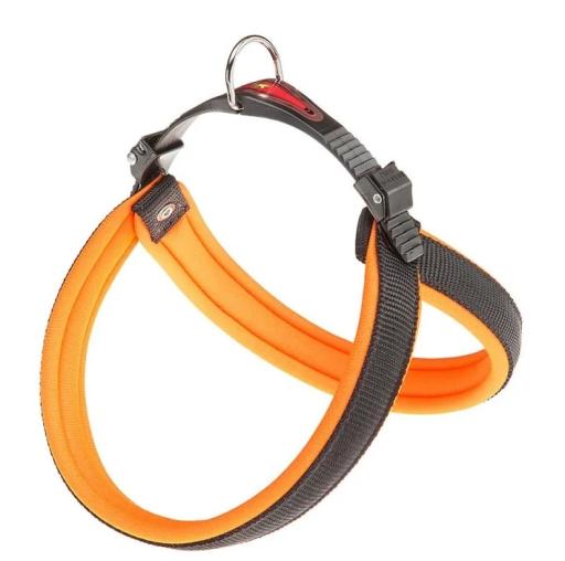 PETTORINA AGILA FLUO 3 Arancio