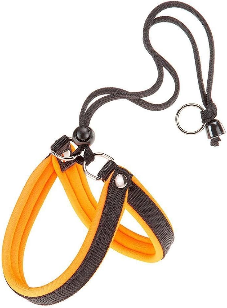 PETTORINA AGILA FLUO 4 Arancio